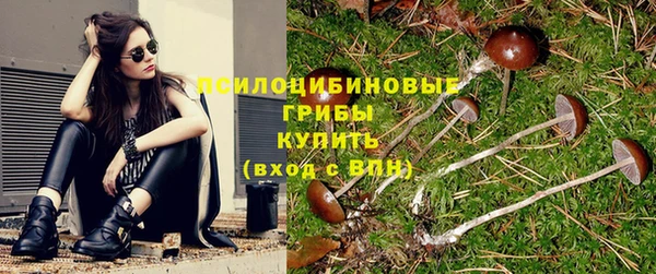 прущие крисы Баксан