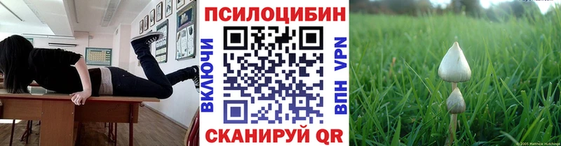 где купить наркоту  Феодосия  Псилоцибиновые грибы Cubensis 
